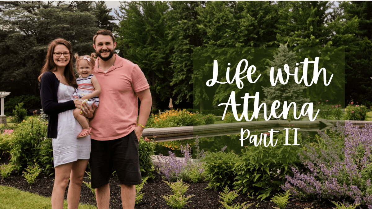 Life with Athena, Part&nbsp;II