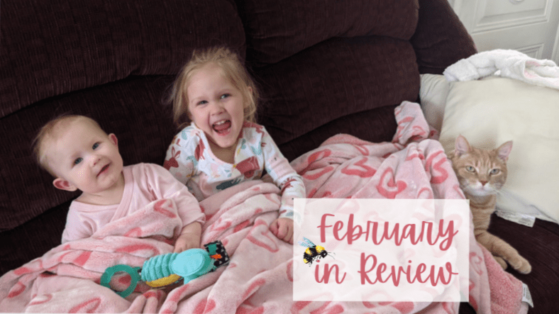 February in Review