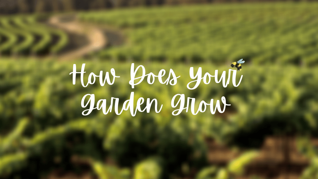 How Does Your Garden&nbsp;Grow?