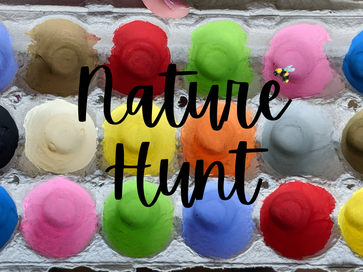 Backyard Nature Hunt