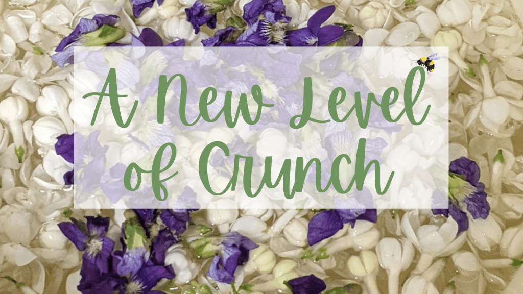 A New Level of&nbsp;Crunch