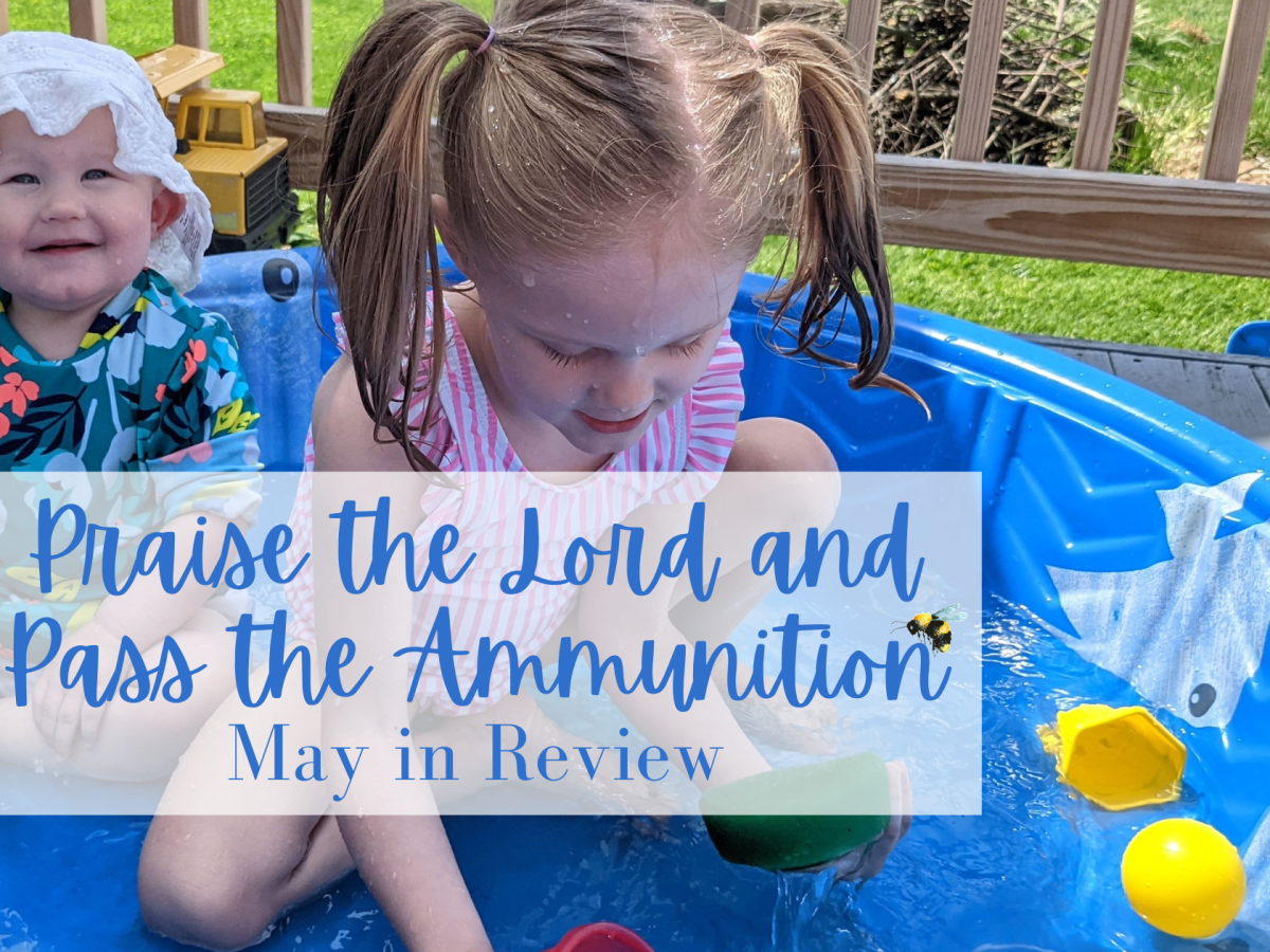 Praise the Lord and Pass the&nbsp;Ammunition