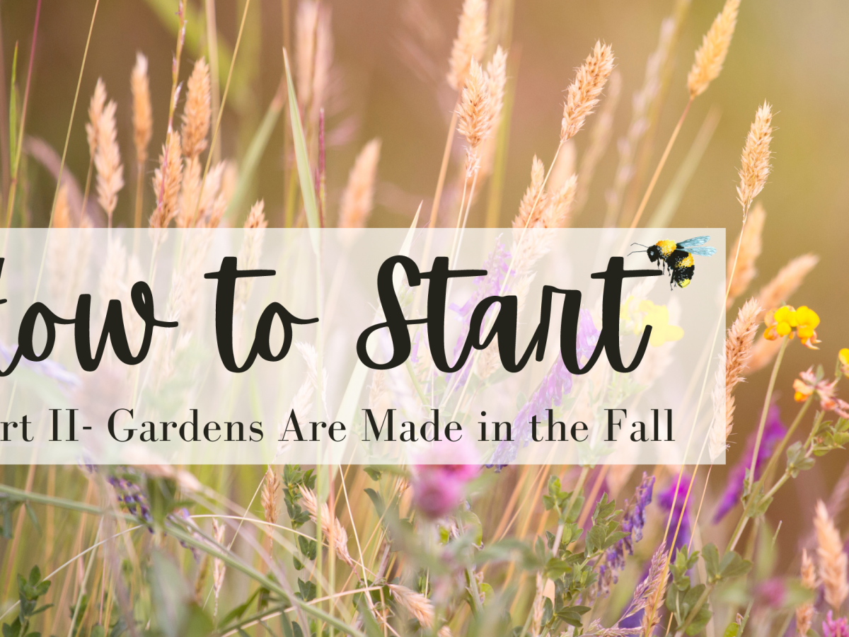 How to Start- Part&nbsp;II