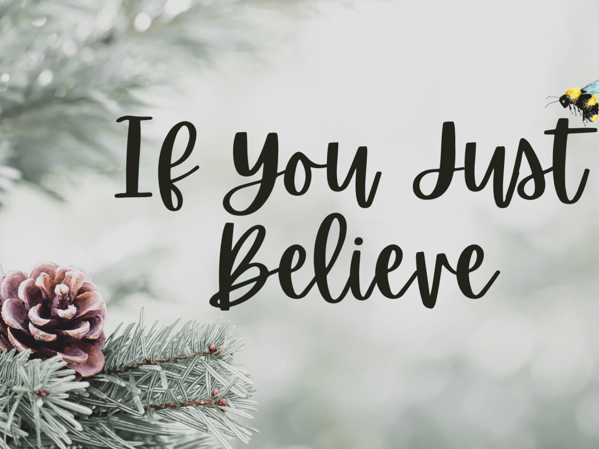 If You Just&nbsp;Believe