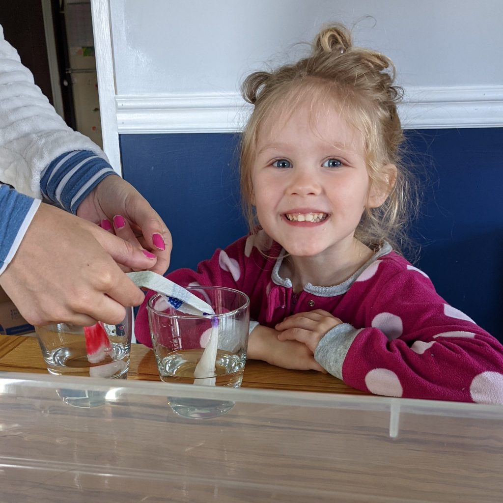 Growing a Rainbow&nbsp;🌈