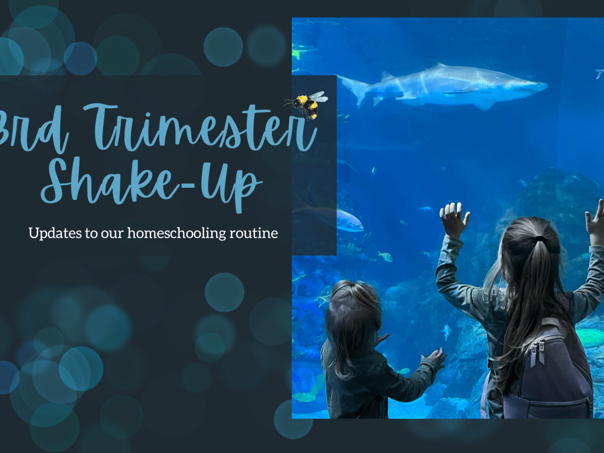 3rd Trimester Shake-Up