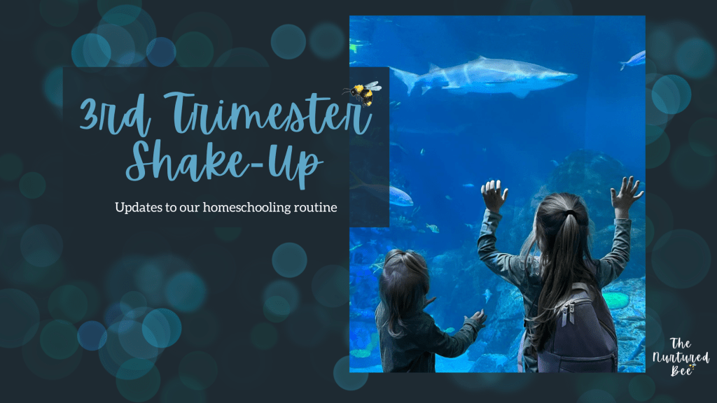 3rd Trimester Shake-Up