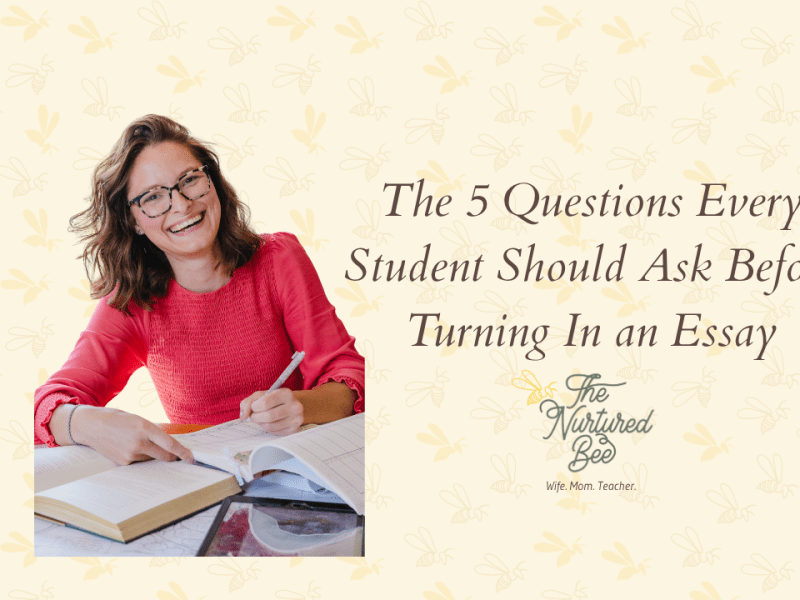 The 5 Questions Every Student Should Ask Before Turning In an&nbsp;Essay