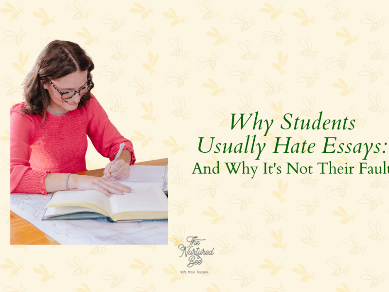 Why Students Usually Hate Essays: And Why It’s Not Their&nbsp;Fault